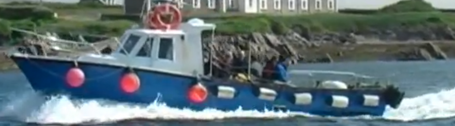 Skelligs Boat Trips